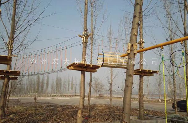 山东省枣庄丛林探险器材，树上拓展探险设备安装完工